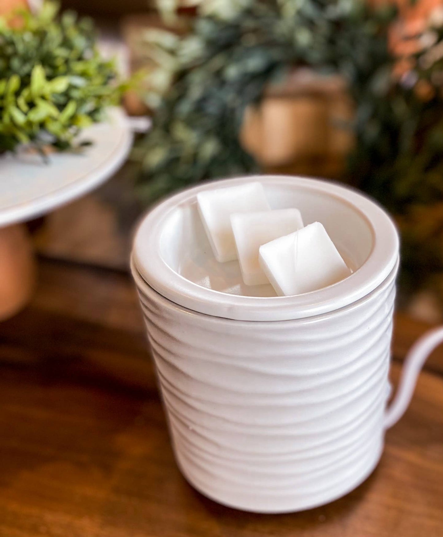 Vanilla Driftwood Coconut Soy Wax Melts
